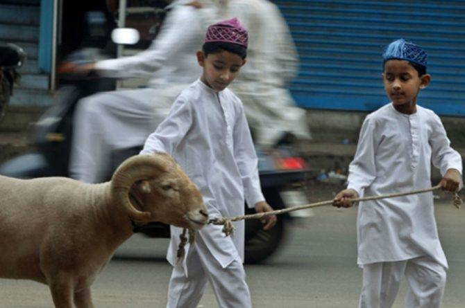 Begini Hukum Kurban Atas Nama Anak