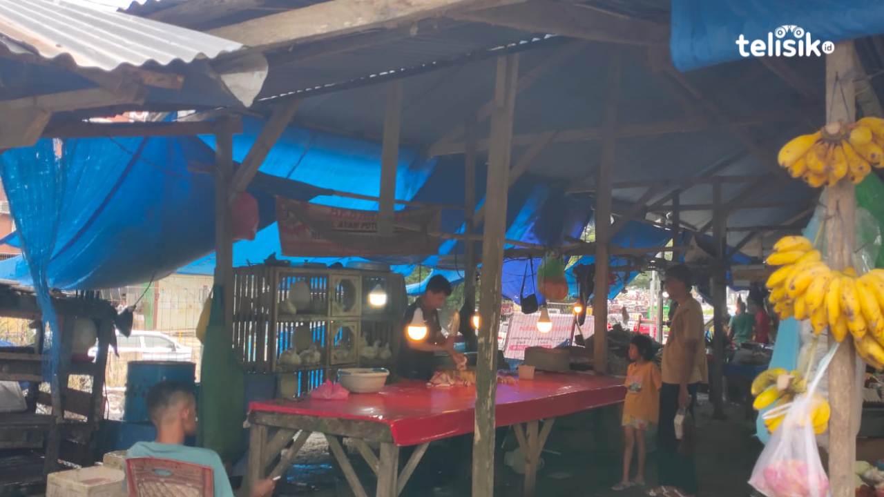 Bibit Ayam Sulit, Harga Ayam Potong Naik Jelang Idul Adha