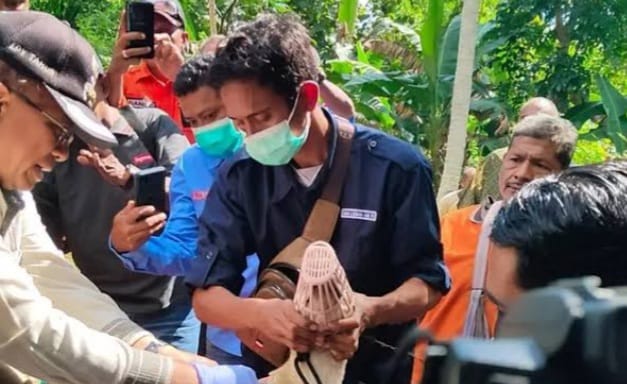 Dinkes Lapor Lagi Satu Anak Meninggal Akibat Rabies di Timor Tengah Selatan