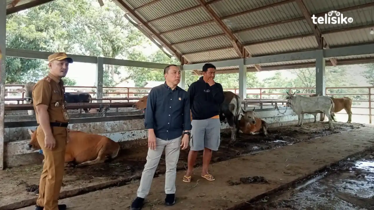 DPRD dan Pemkot Pantau Persiapan RPH Kota Kendari Jelang Idul Adha 2023