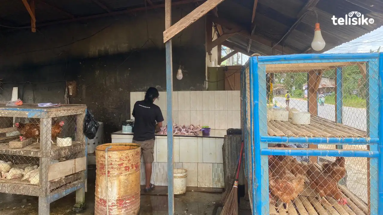 Harga Ayam Potong Naik Drastis, Masyarakat Minta Pemerintah Gelar Pasar Murah