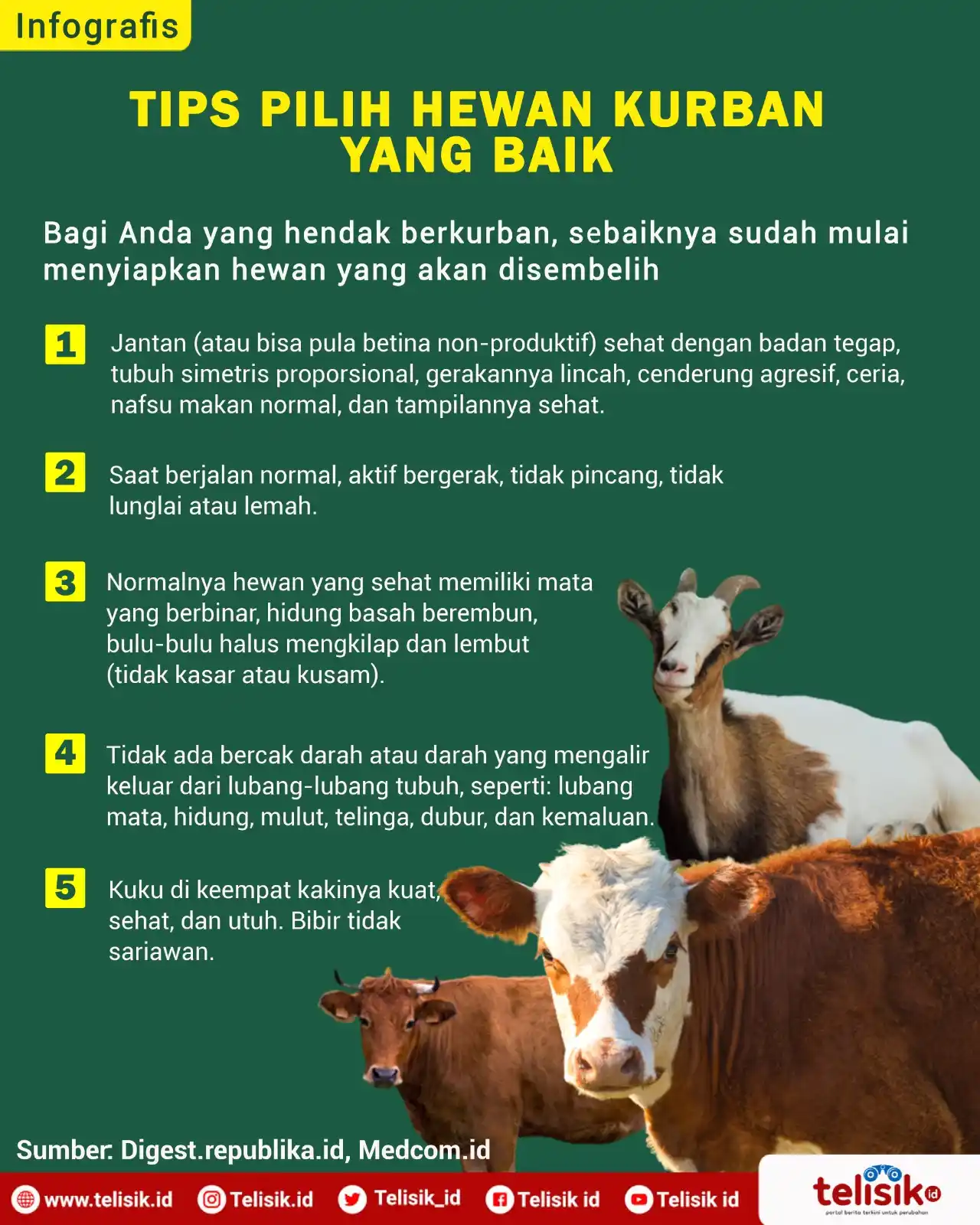 Infografis: Tips Pilih Hewan Kurban yang Baik dan Sehat
