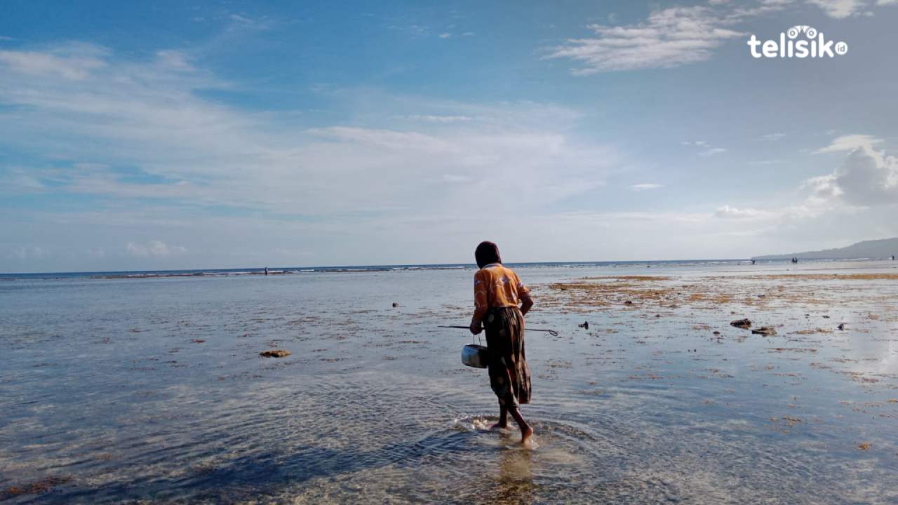 Mengenali Pikadepe, Teknik Menangkap Hewan Laut Tak Biasa Masayarakat Bahari Buton