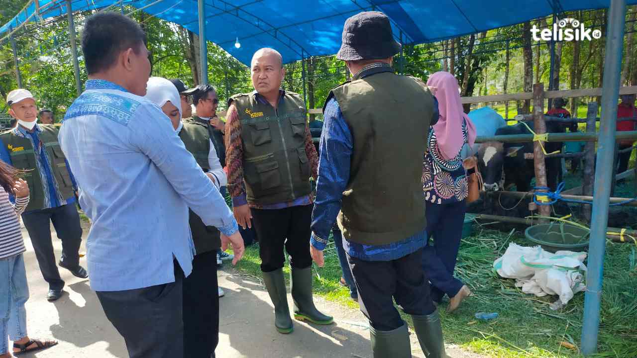 Pemda Konawe Terus Tingkatkan Sektor Peternakan