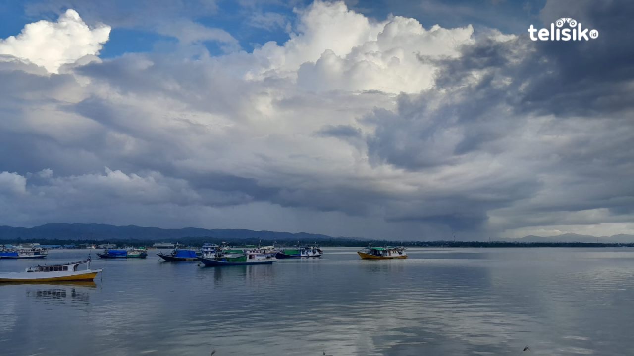 Peringatan Gelombang Tinggi Perairan Sulawesi Tenggara Diprediksi Capai 4 Meter