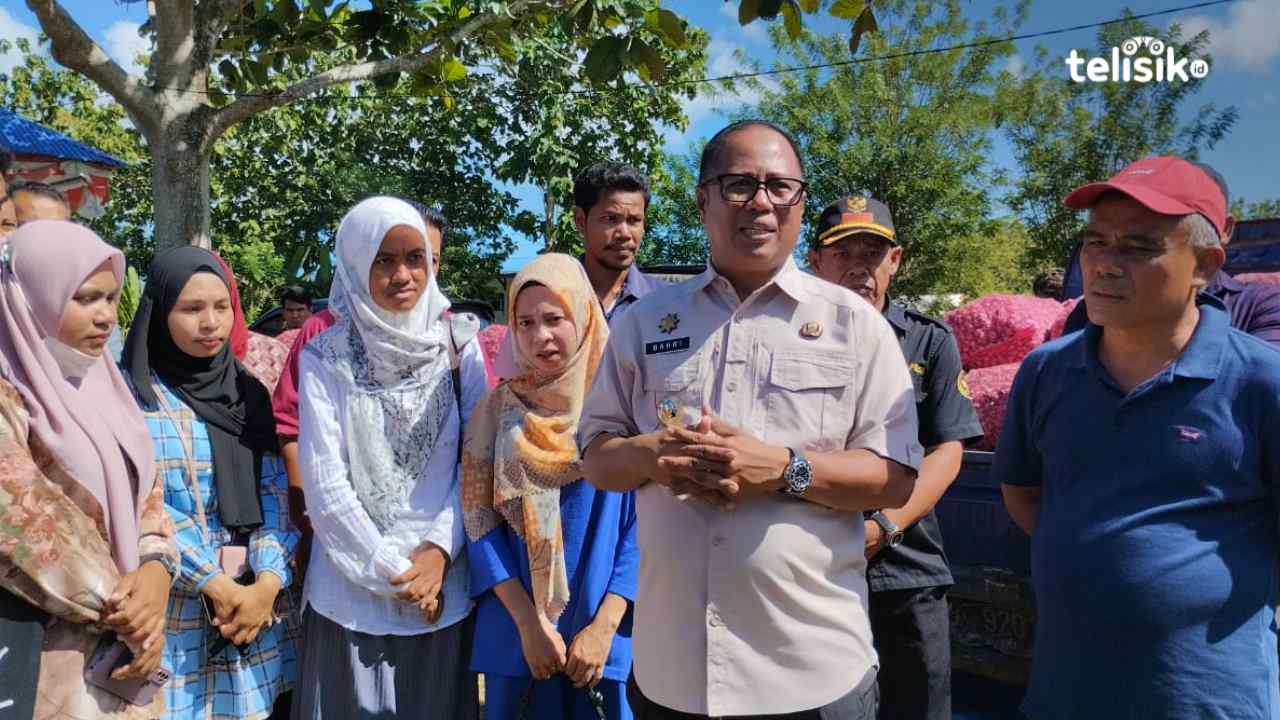 Sapi Kurban di Muna Barat Dipastikan Bebas PMK dan Antraks