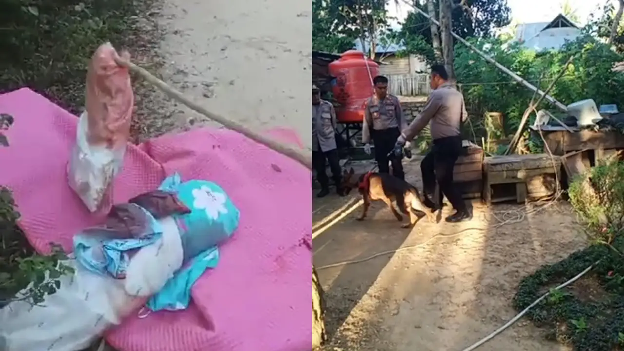 Warga Temukan Tikar Berisi Bantal Berlumuran Darah, Polisi Kerahkan Anjing Pelacak