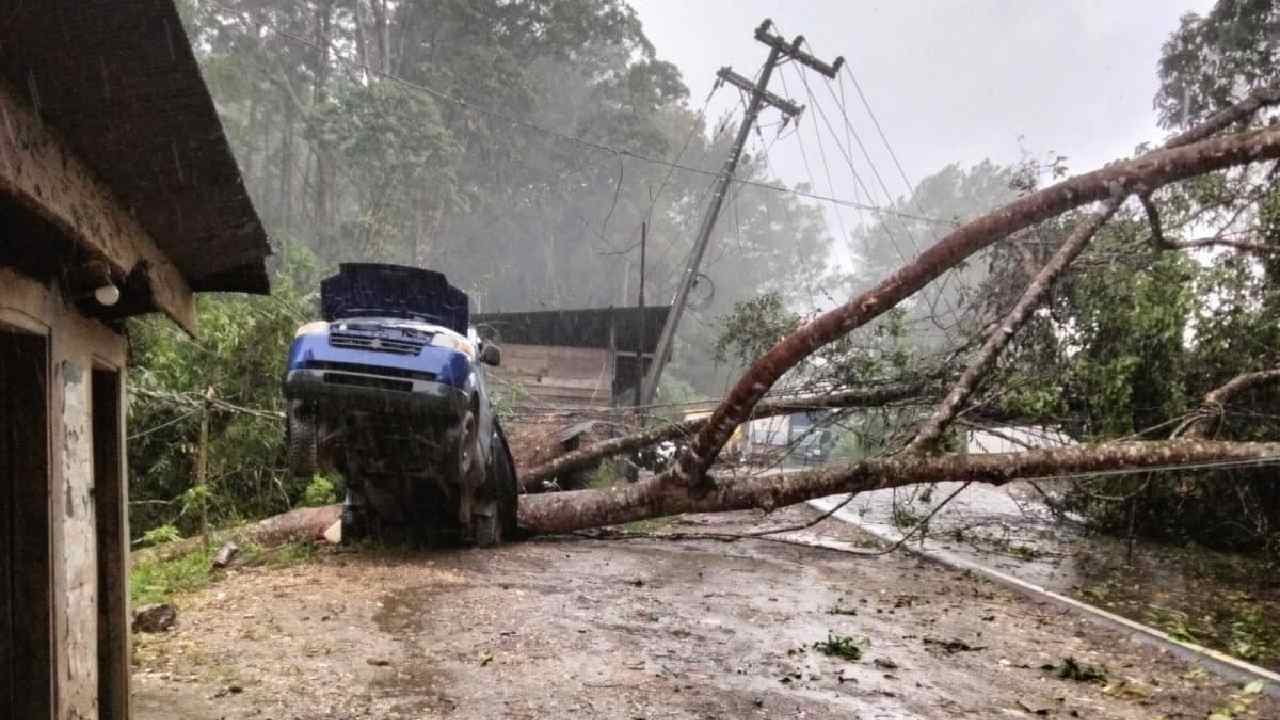 Akibat Cuaca Ekstrem Sebuah Mobil Tertimpa Pohon Tumbang di Kolaka Timur