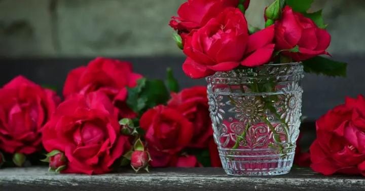 Cara Buat Air Mawar Sendiri di Rumah