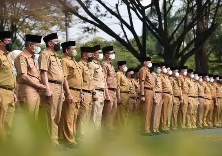 Intip Kuota Formasi dan Jurusan Peluang Besar Lolos CPNS September 2023