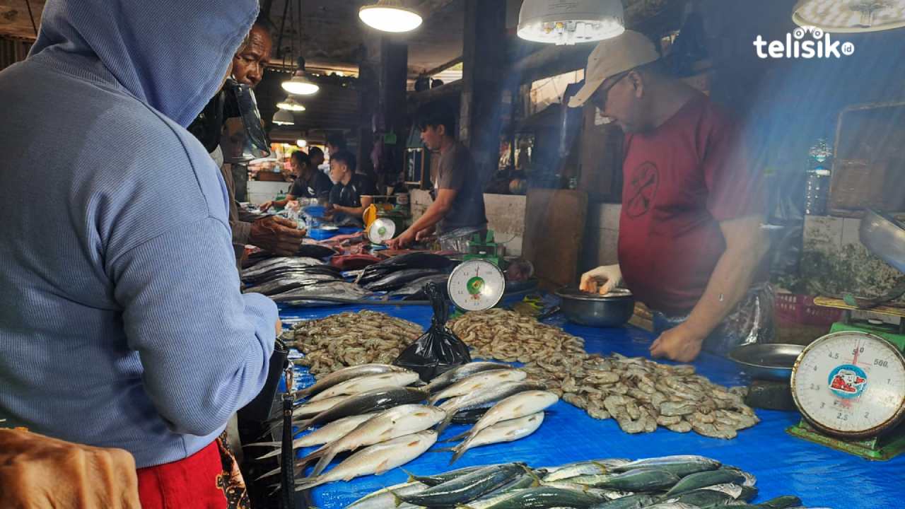 Kenaikan Harga Ikan di Kota Kendari Akibat Cuaca Buruk