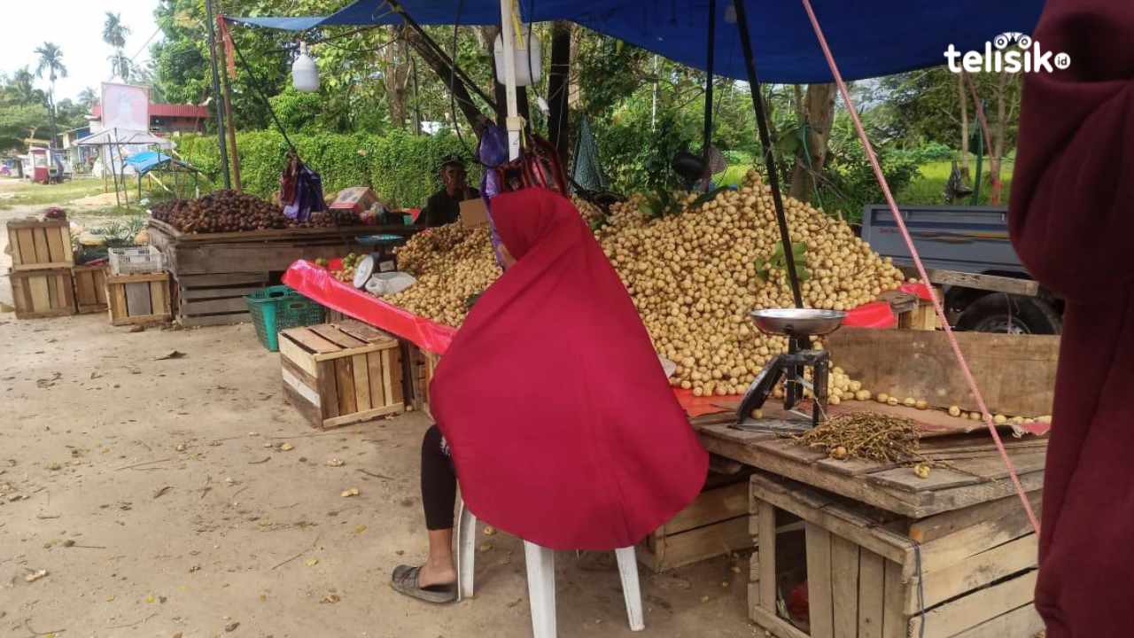 Menjamurnya Pedagang Buah Langsat di Kota Kendari