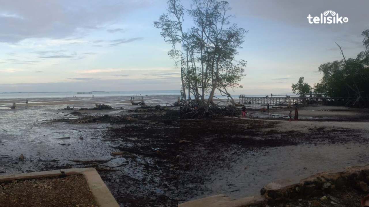 Pantai Pasir Putih Konawe Selatan Hidangkan Nuansa Asri dan Mangrove, Pilihan Rekreasi Baru