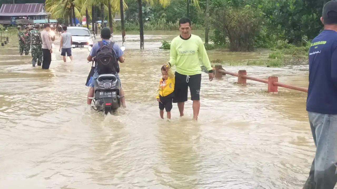 Ratusan Hektare Sawah dan Puluhan Rumah di Kolaka Timur Terendam Banjir