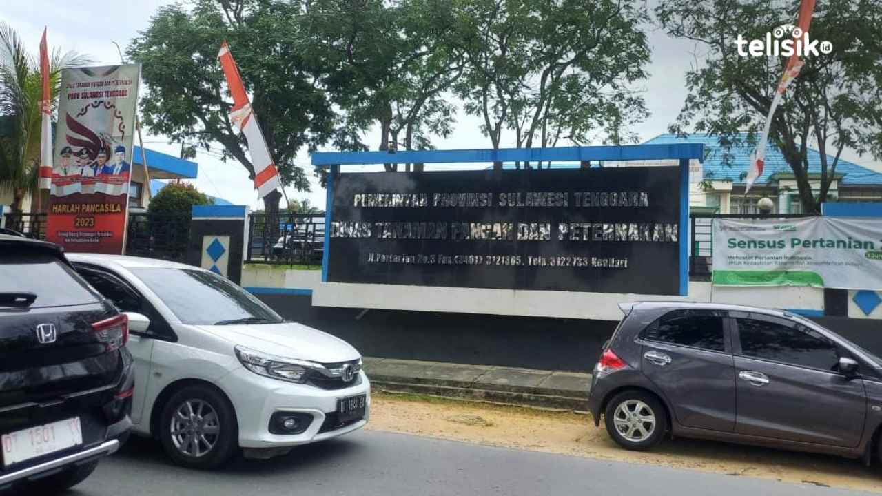 Rawan Wabah Rabies di Sejumlah Wilayah Indonesia, Stok Vaksin Sulawesi Tenggara Kosong