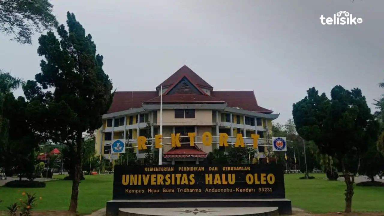 UHO Buka Seleksi Mandiri Tahap Dua, Ini Link Pendaftarannya