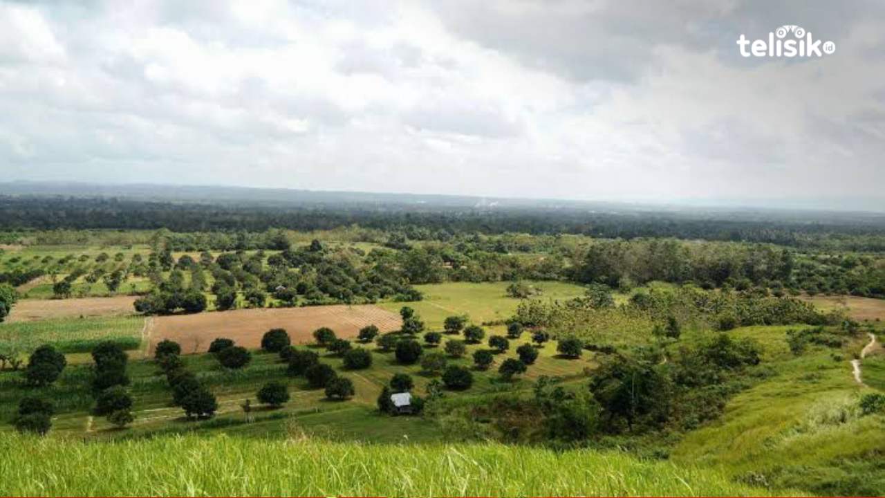 Wisata Tersembunyi Bukit Alebo di Konawe Selatan, Tampilkan Sunrise yang Indah