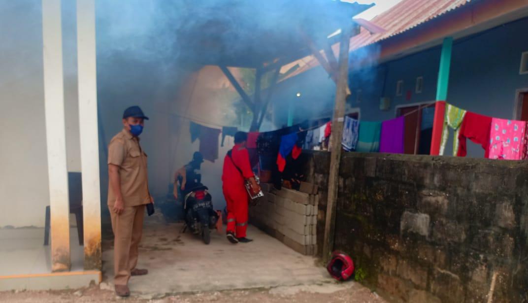 Dinkes Sulawesi Tenggara Antisipasi Ancaman DBD saat Musim Pancaroba
