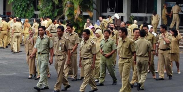 Ini Jurusan Paling Prioritas CPNS dan PPPK 2023