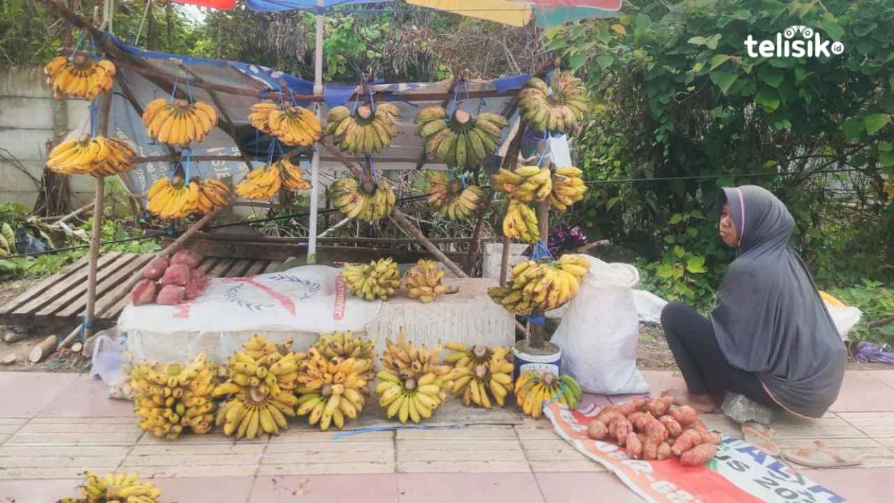 Kisah Pasutri Penjual Pisang Tiap Hari Susuri Jalan Kota Kendari