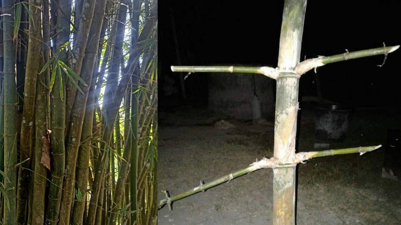 Misteri Bambu Petuk, Pusaka yang Dipercaya Dihuni Makhluk Halus dan Bernilai Miliaran Rupiah