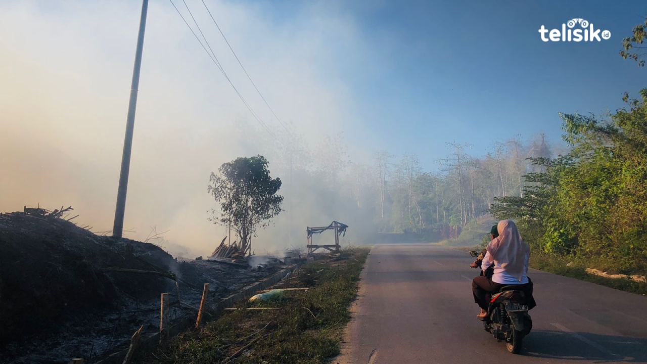 Pembakaran Lahan Timbulkan Asap Tebal di Jalan Poros Baubau-Buton Selatan, Jarak Pandang Pengendara Terganggu