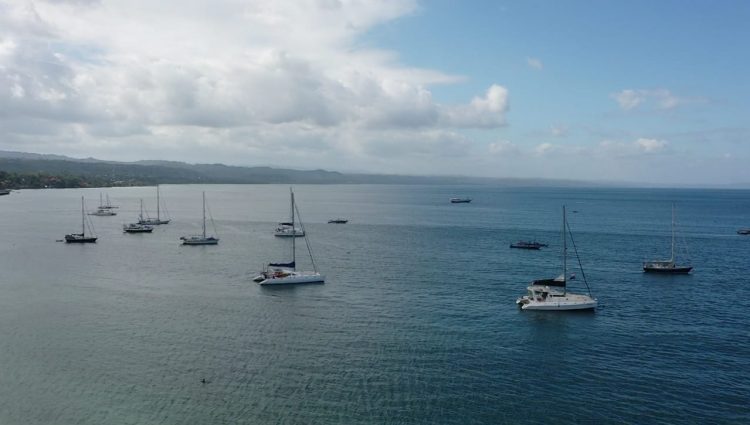 Peserta Sail To Indonesia Bakal Singgah di Buton, Dispar Gelar Festival Teluk Pasarwajo