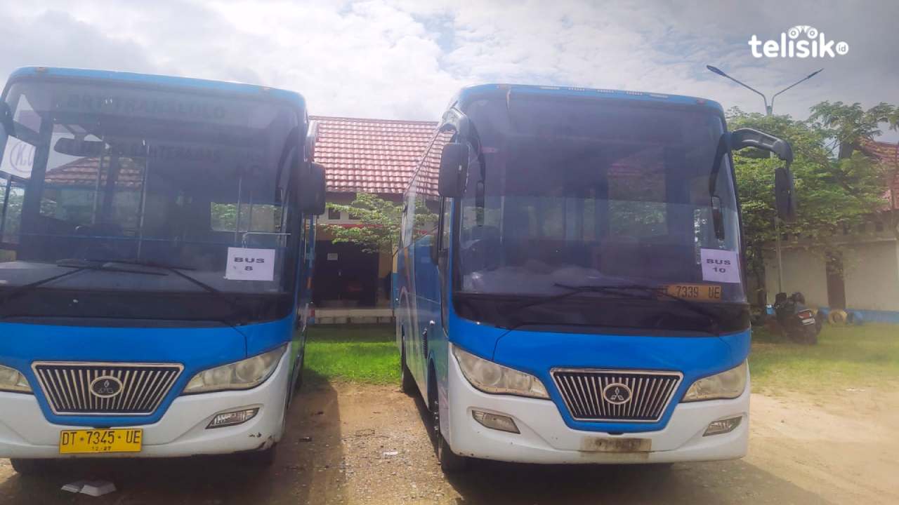 Transportasi Bus di Kendari Sediakan Angkutan Kota dan Sewa Luar Kota