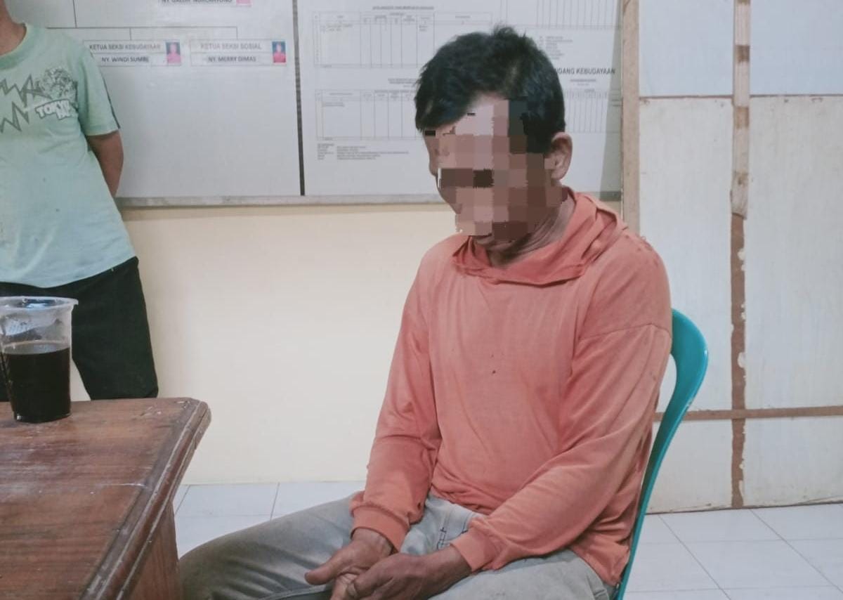 Curi Belasan Gelondong Kayu, Terduga Pelaku Ilegal Logging Ditangkap Polisi