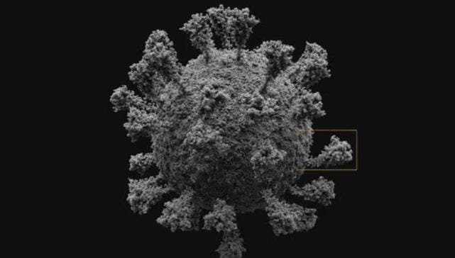 Deretan Fakta Subvarian Pirola, Virus Baru Ditemukan di Inggris