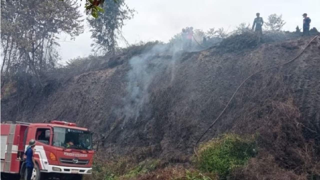 Fenomena El Nino Diprediksi hingga Februari 2024, BMKG Imbau Waspada Kekeringan 