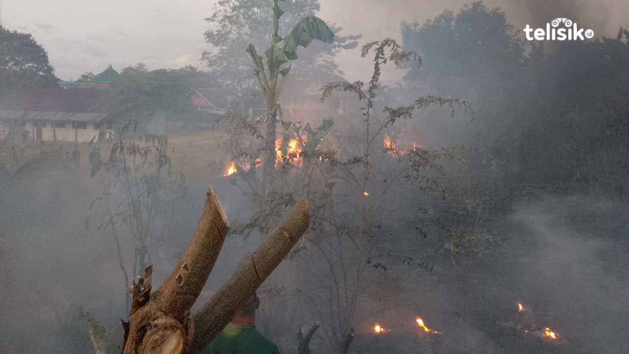Kemarau, Muna Rawan Kebakaran Lahan