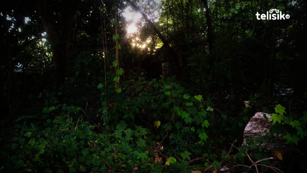 Kisah Mistis saat Tersesat di Hutan, 9 Jam Penglihatan Diganggu Jin
