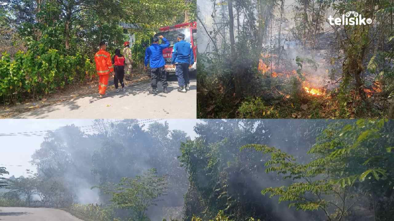 Lahan Kosong Depan Fakultas Kedokteran UHO Kendari Terbakar, Asap Tebal Halangi Pandangan