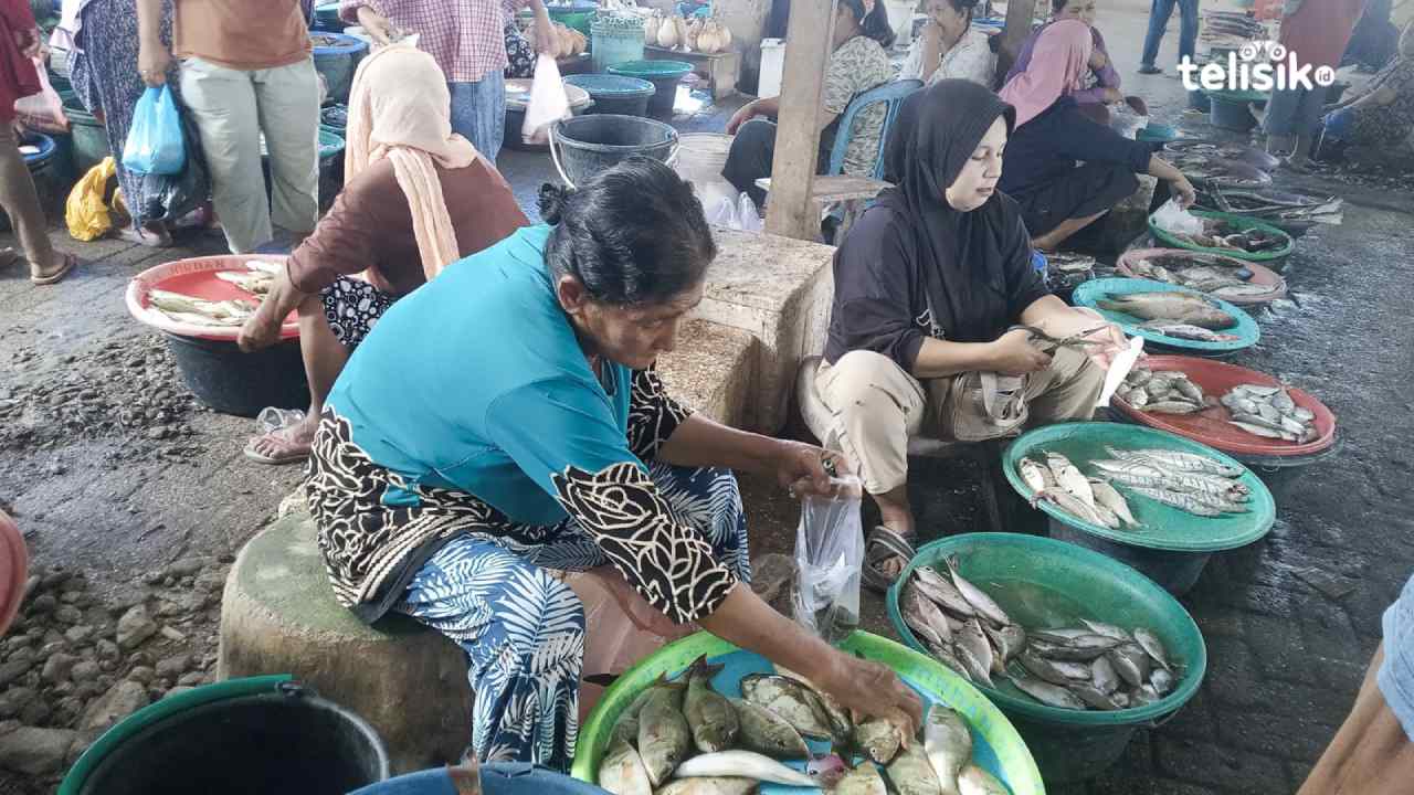 Pedagang Ikan di Pasar Sentral Wakatobi Mengeluh Rugi 2 Hari, Ini Penyebabnya