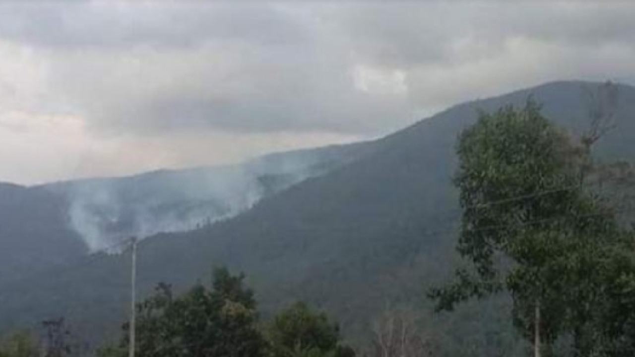 Ribuan Hektare Hutan di Kolaka Utara Potensi Terbakar jika Elnino Berkepanjangan