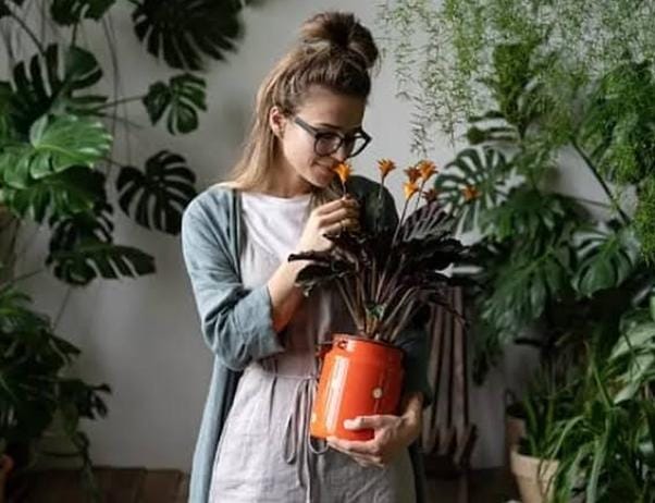 Tips Rumah Wangi Sepanjang Hari