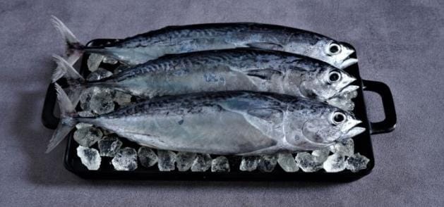 Tips Simpan Ikan di Kulkas Agar Tetap Segar dan Tahan Lama