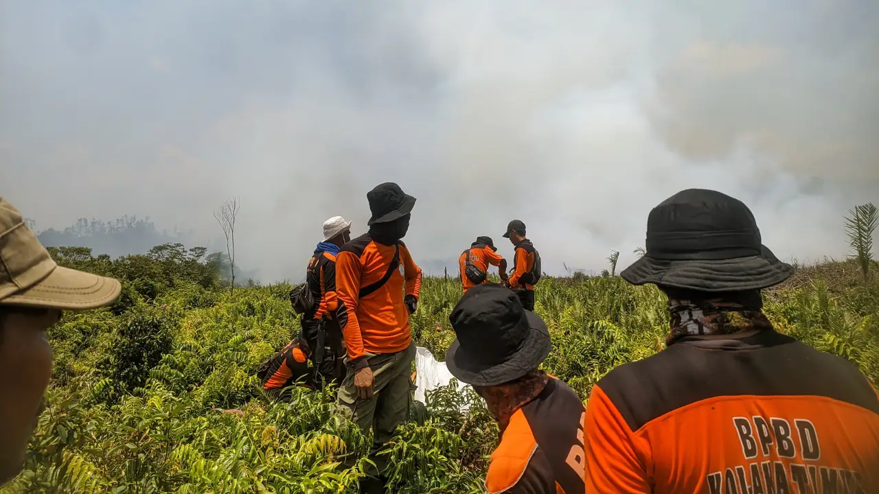50 Hektare Hutan dan Lahan di Wesalo Alami Kebakaran