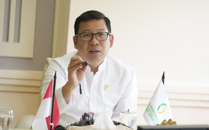 Arief Prasetyo Plt Mentan, Jokowi Belum Ada Jadwal untuk Terima SYL