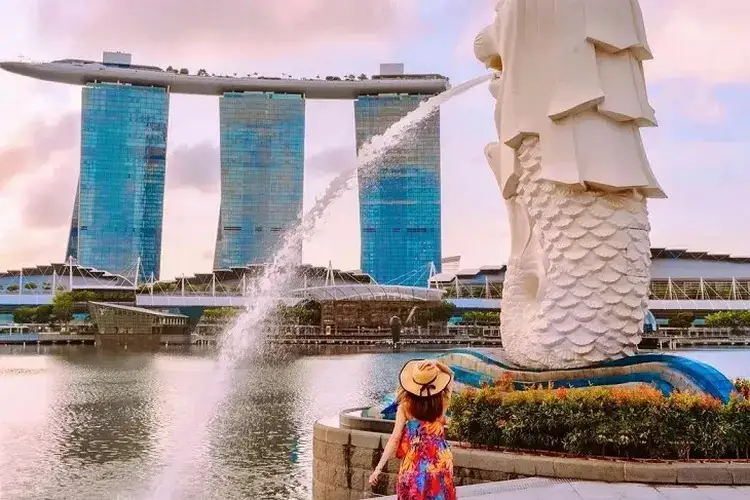 Bak Langit dan Bumi, Segini Perbandingan Gaji di Singapura dan Indonesia