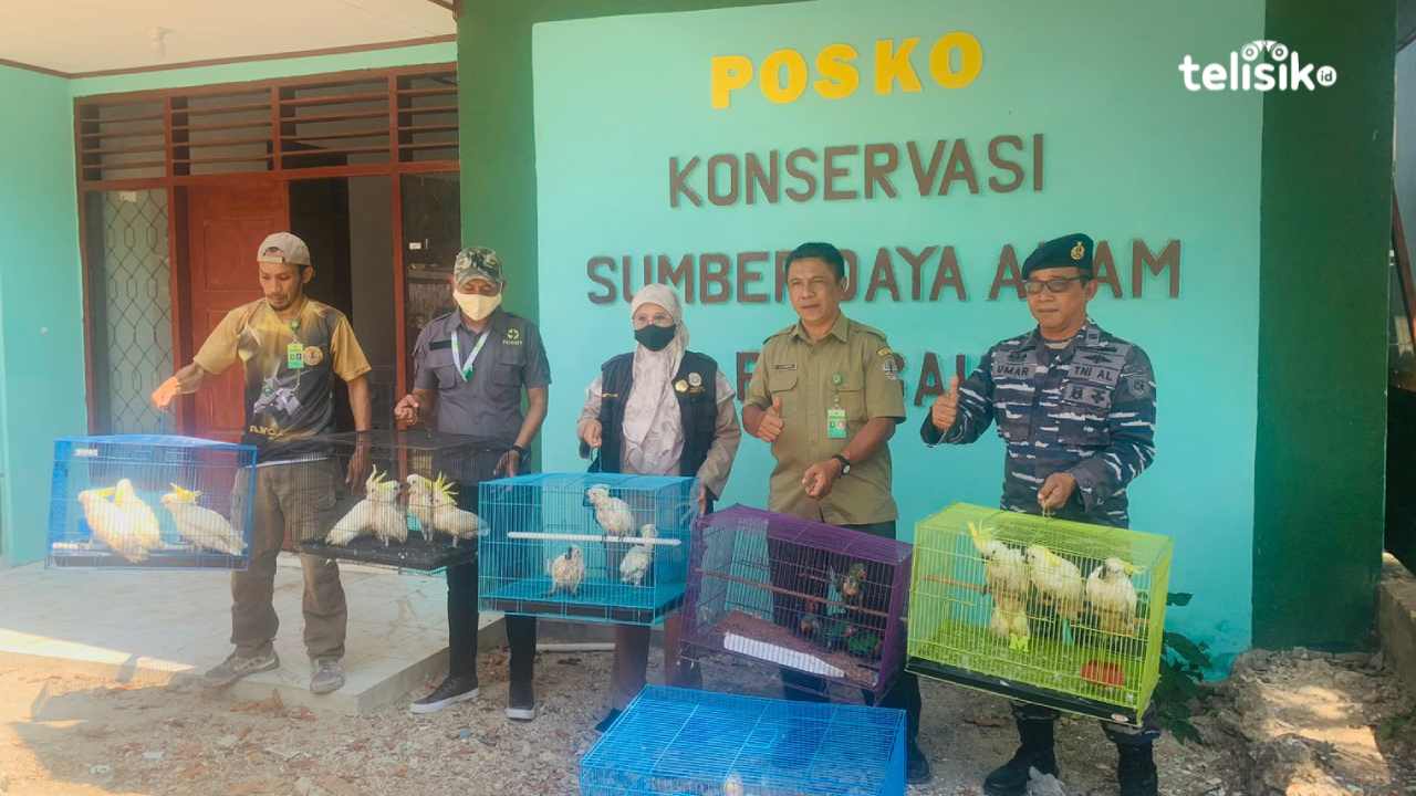 Hendak Diselundupkan, Puluhan Satwa Dilindungi Diamankan di Pelabuhan Murhum Baubau