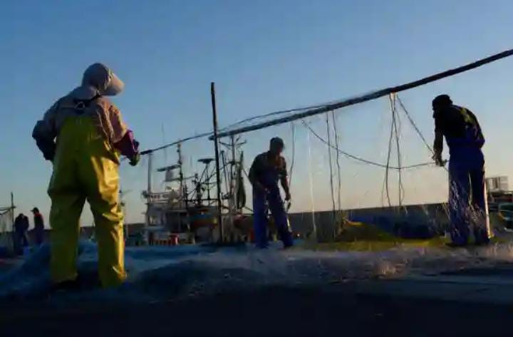 Ilmuwan: Dunia Terancam Kepunahan Massal Keenam