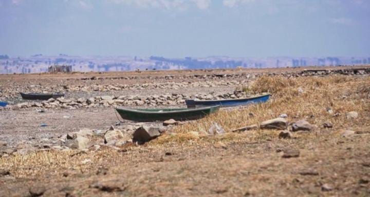 Ilmuwan Minta WHO Deklarasikan Kondisi Krisis Iklim dan Alam