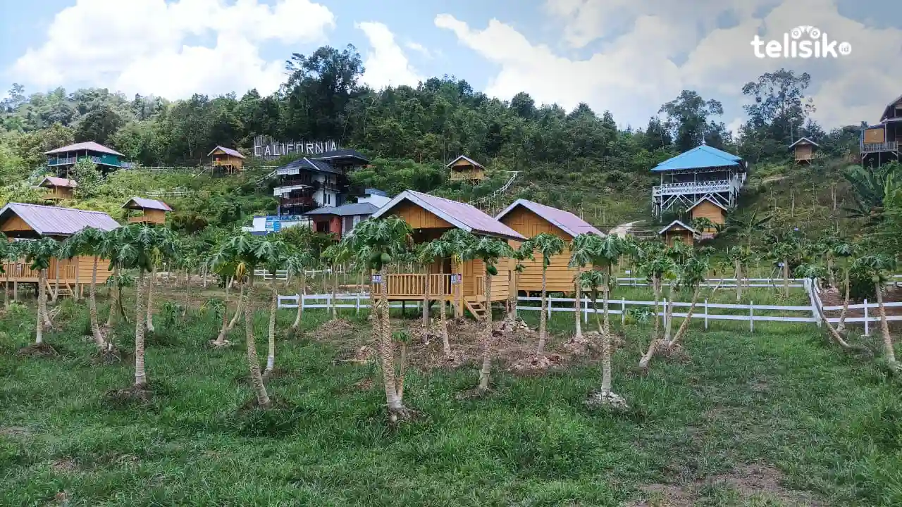 Panas Ekstrem, Tanaman Agrowisata California Konda Terancam