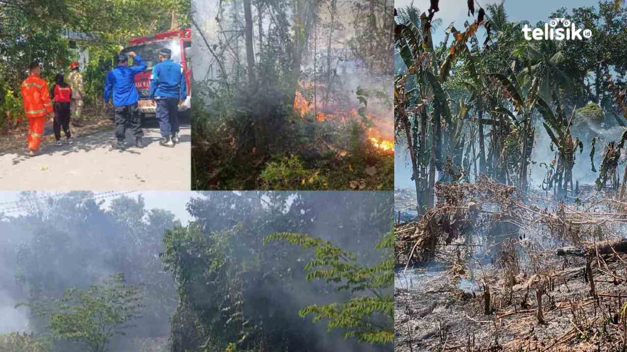 Sepanjang Musim Kemarau Puluhan Laporan Kebakaran Lahan di Kota Kendari