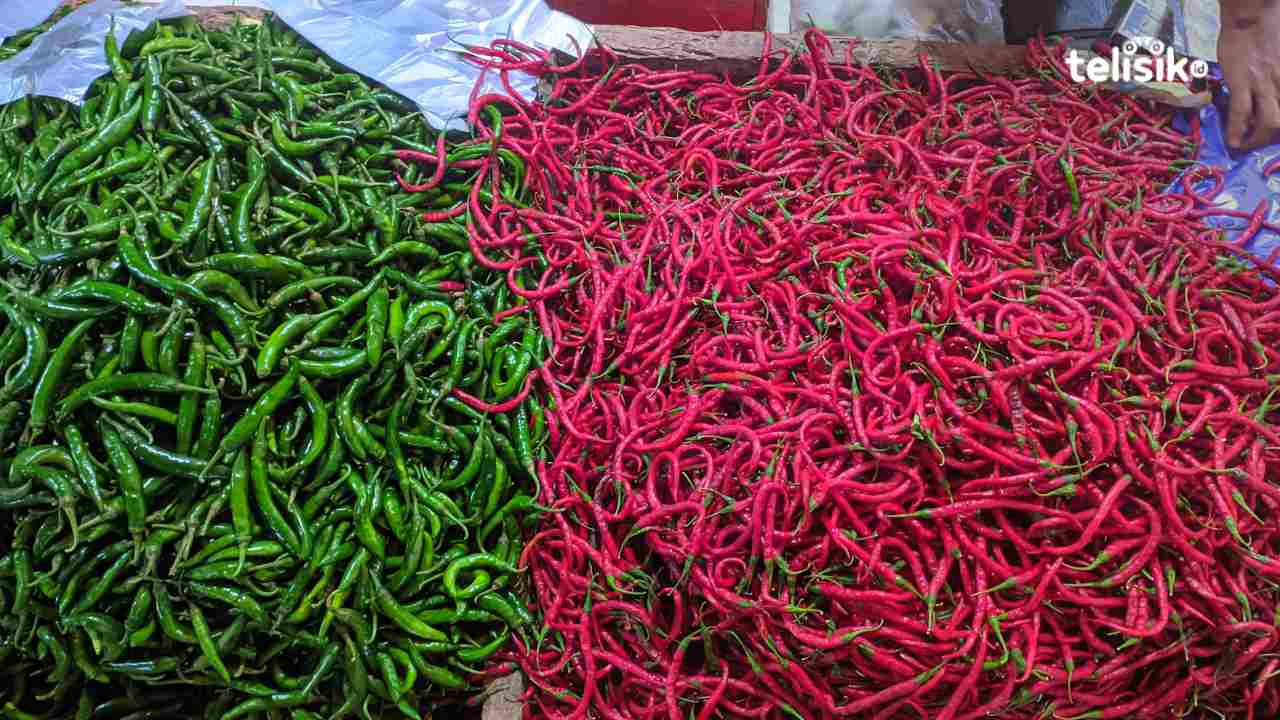 Tembus Rp 100.000 Per Kg, Harga Cabai Rawit Makin Pedas di Kota Kendari