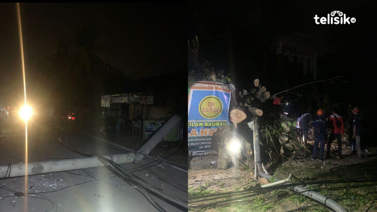 Cuaca Buruk Sebabkan Pohon Tumbang, 3 Tiang Roboh dan 2 Motor Tertimpa Runtuhan di Kota Baubau