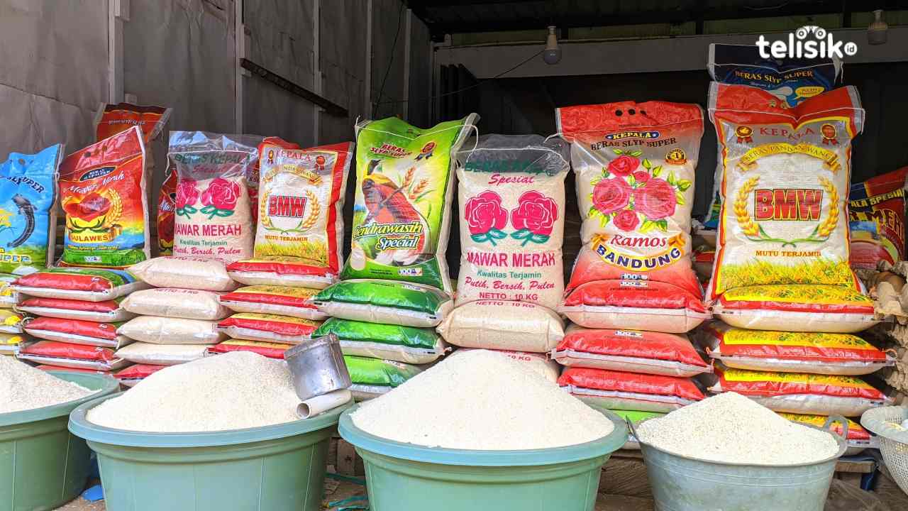 Harga Beras di Kota Kendari Diprediksi Normal Sebelum Akhir Tahun