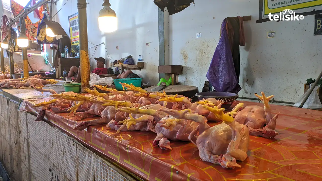 Jelang Nataru, Harga Ayam Mahal Kualitas Menurun